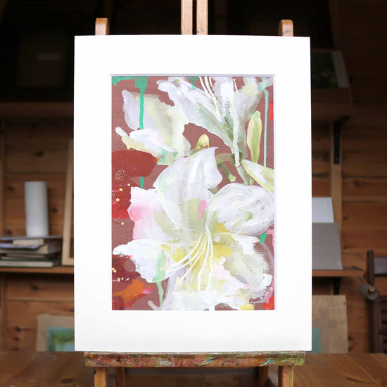 Amaryllis 2